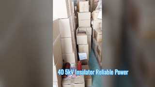 Μια πιο προσεκτική ματιά: 40,5 kV Υψηλής Τάσης Εποξειδική Ρητίνη Ασπίδα Δοχεία στόμιου Ύψος 660 mm